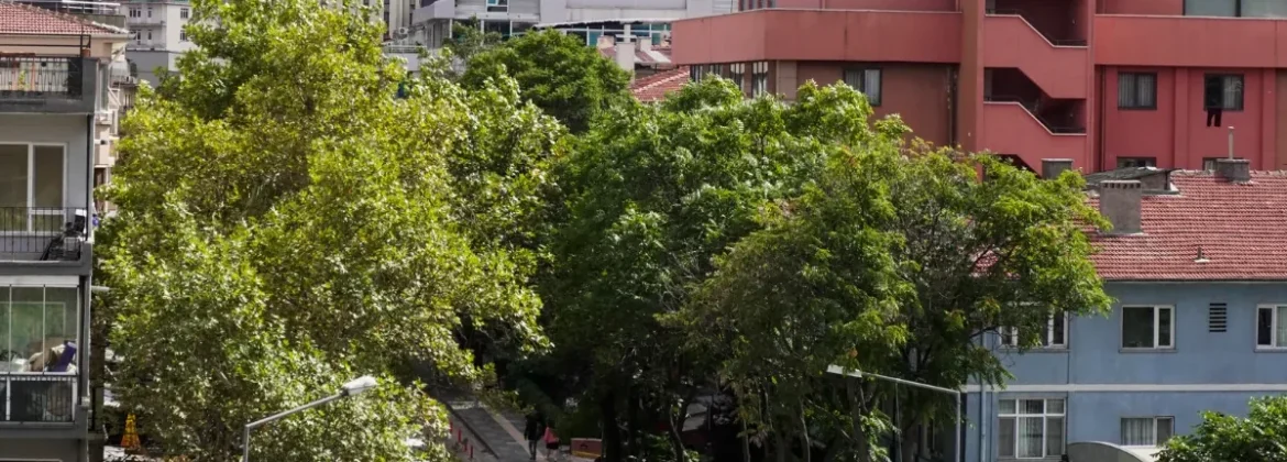 Kavaklıdere Bestekar Caddesi ve çevresinin üstten görünümü